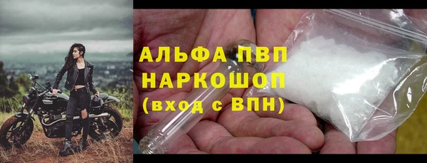 сатива Пестово