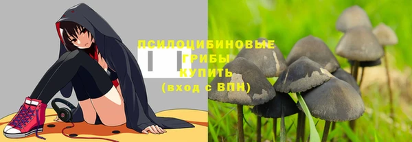 стаф Переславль-Залесский