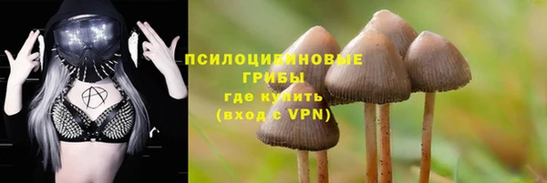 сатива Пестово