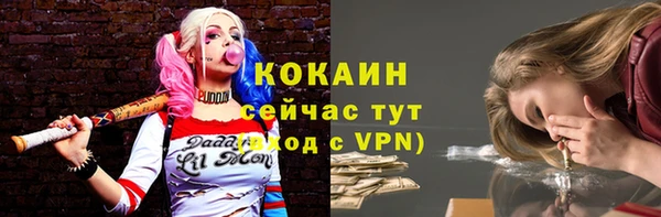 2c-b Пересвет