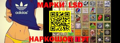 амф Гай