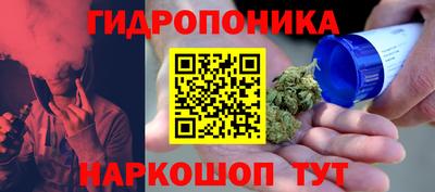 дурь Гагарин