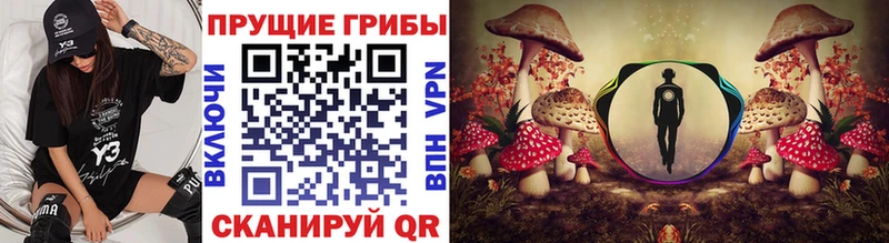 цена наркотик  omg рабочий сайт  Псилоцибиновые грибы Cubensis  Прокопьевск 